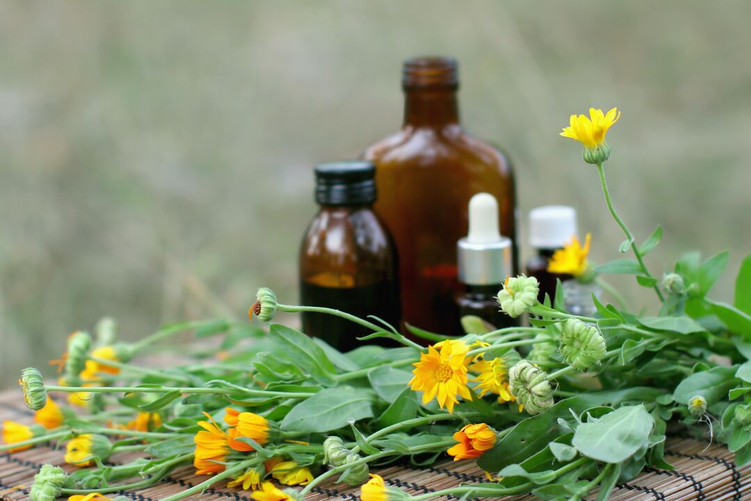 Elecampane - a folk remedy for sexual arousal with decreased potency