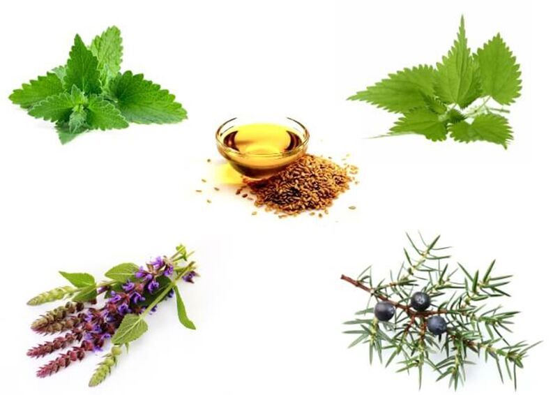Mint, nettle, thyme, juniper and linseed